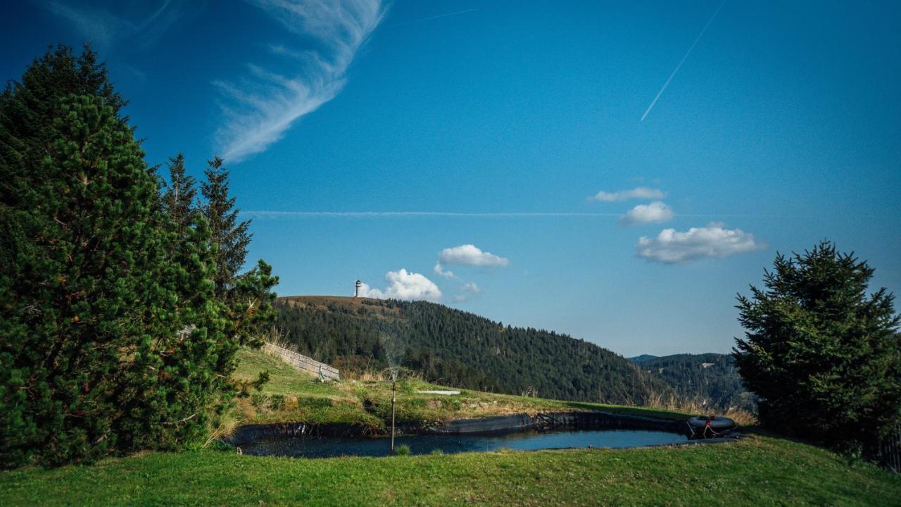 Berggasthof Zur Todtnauer Huette Фельдберг Екстер'єр фото