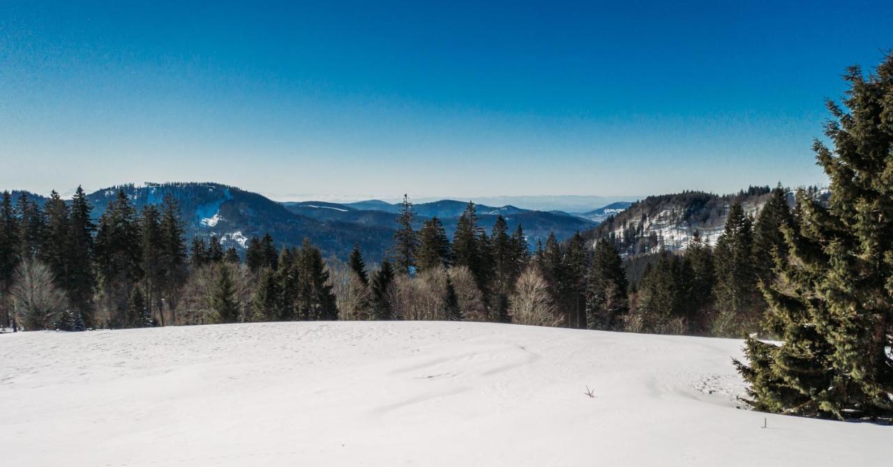 Berggasthof Zur Todtnauer Huette Фельдберг Екстер'єр фото